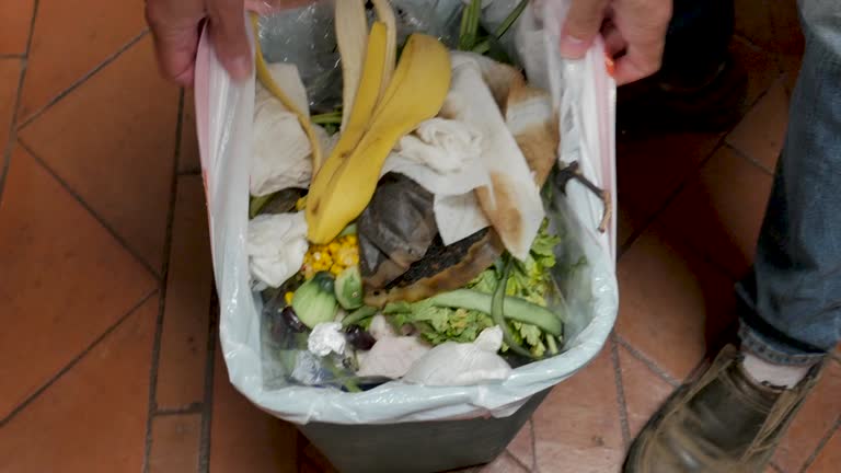 Best Basement Cleanout  in Rapid City, MI