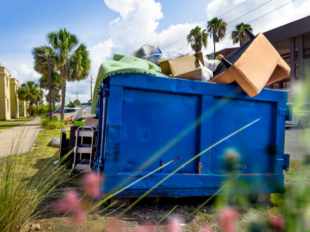 Best Dumpster Rental Services  in Rapid City, MI